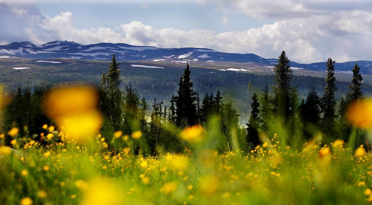 Hotel Spatind Fjellhotell Nord Torpa