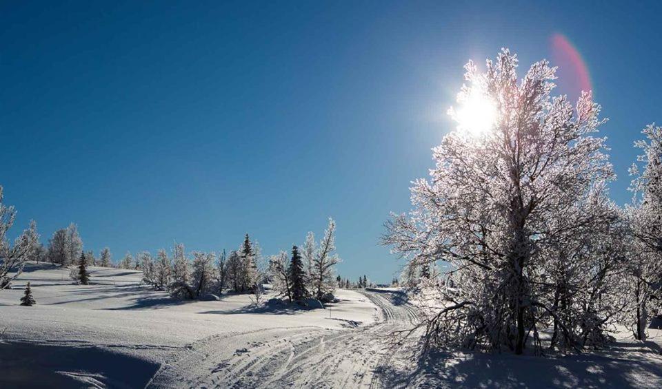 Hotel Spatind Fjellhotell Nord Torpa
