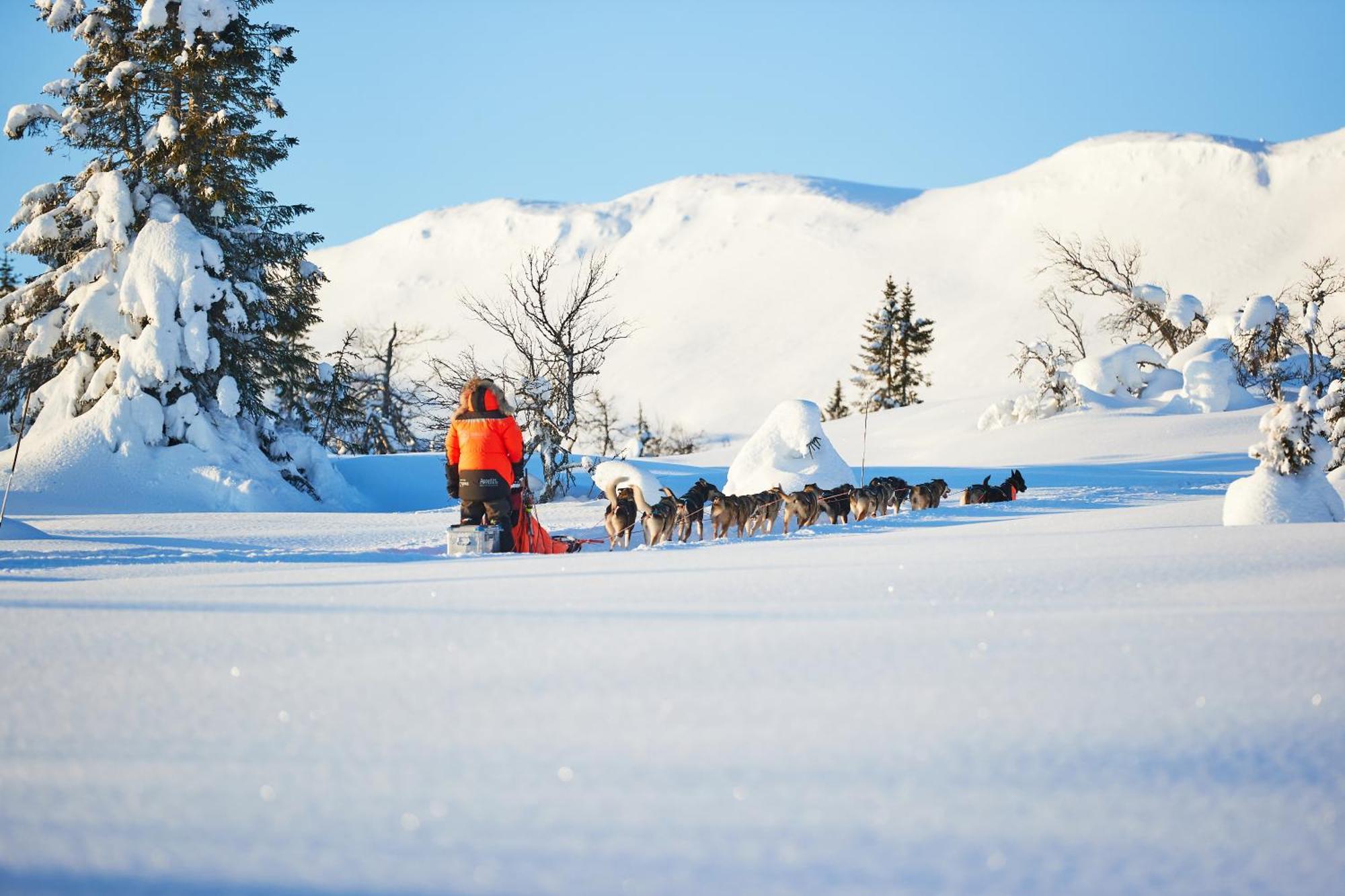 Spatind Fjellhotell Hotel 3*