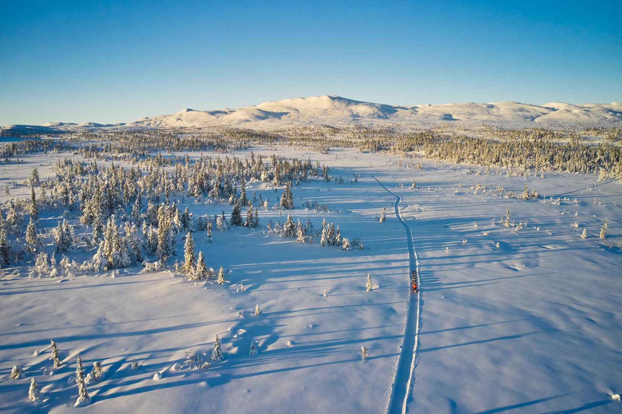 Spatind Fjellhotell Nord Torpa