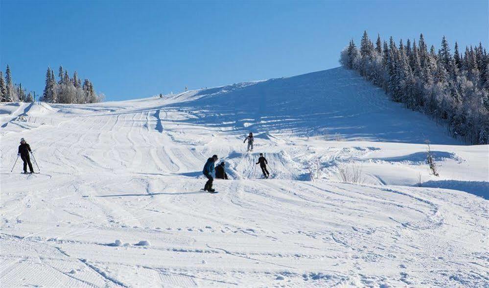 Spatind Fjellhotell Nord Torpa